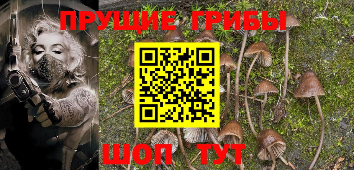 Псилоцибиновые грибы MAGIC MUSHROOMS Белово