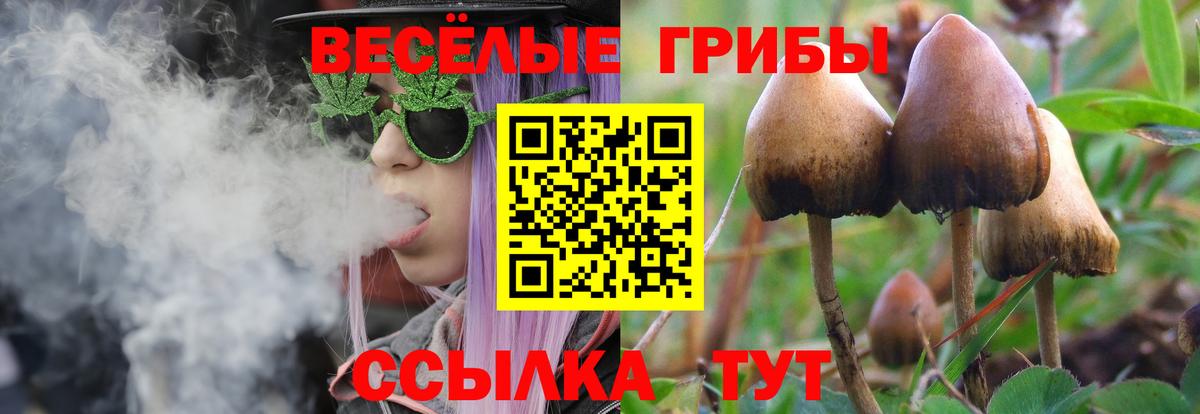 Галлюциногенные грибы мицелий  Вход с VPN  Белово  Псилоцибиновые грибы Cubensis 